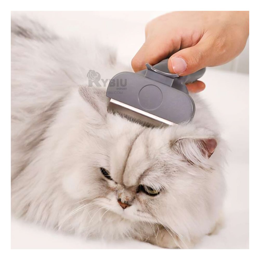 Cepillo Eliminador de Nudos Gato en Rosado Y+Papel de Regalo