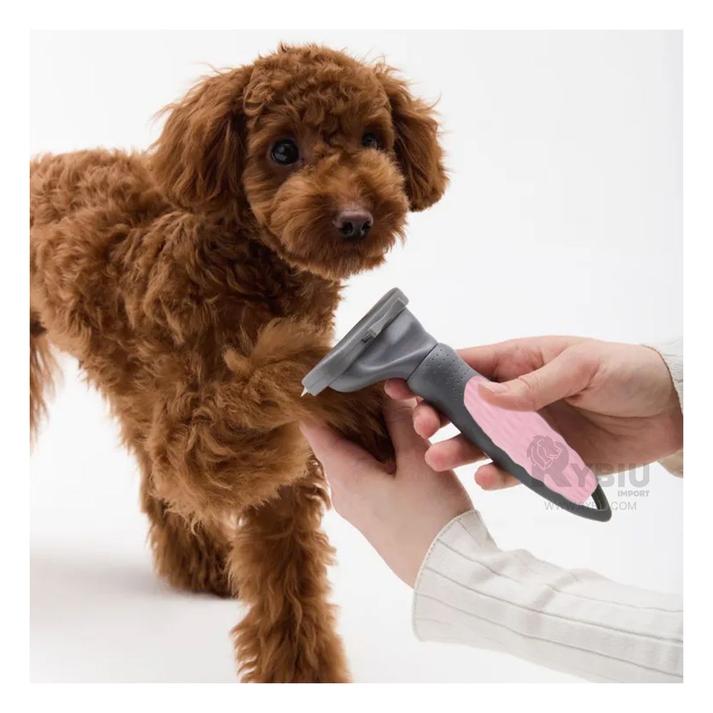 Cepillo para Pelo Pet en Color Rosado Y+Stickers