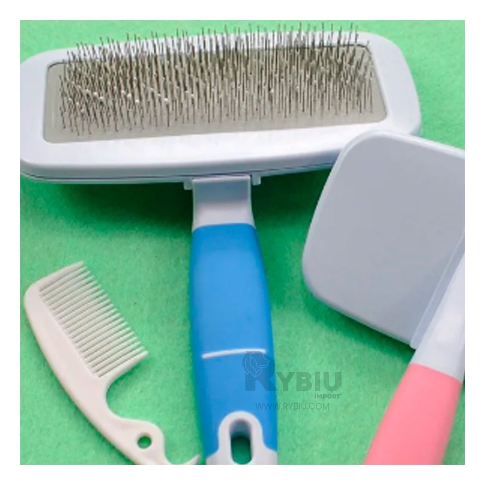 Kit de Cepillo de Agujas Suave de Celeste Y+Papel de Regalo