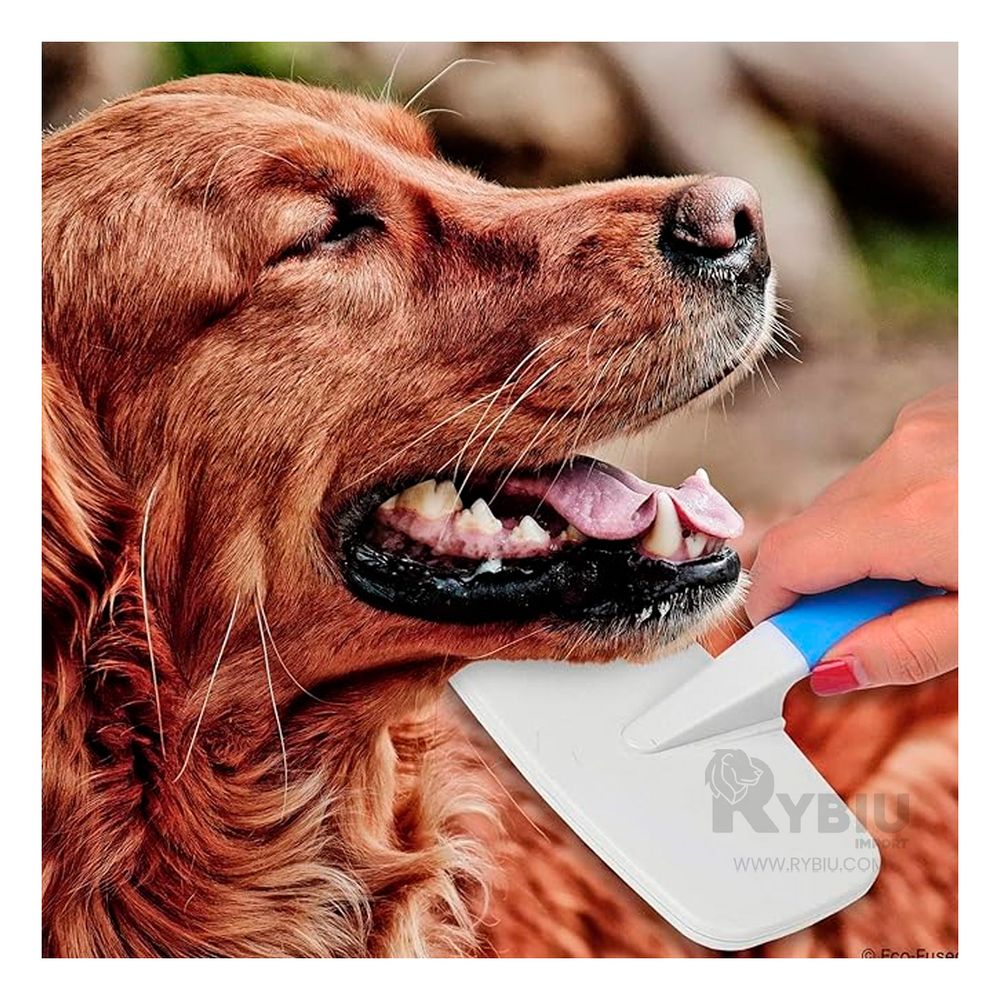 Kit con Mini Peine de Color Celeste Y+Agendita