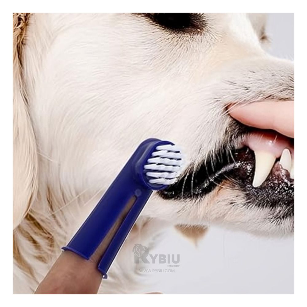 Kit para Cachorros 4 Piezas Y+Stickers