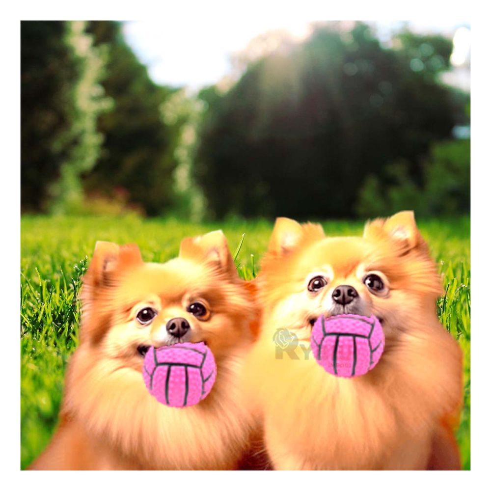 imageUrl_1 imageUrl_1