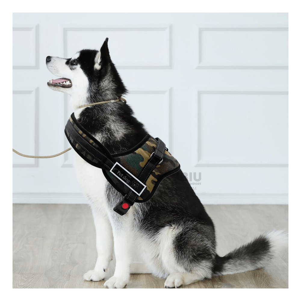 imageUrl_1 imageUrl_1