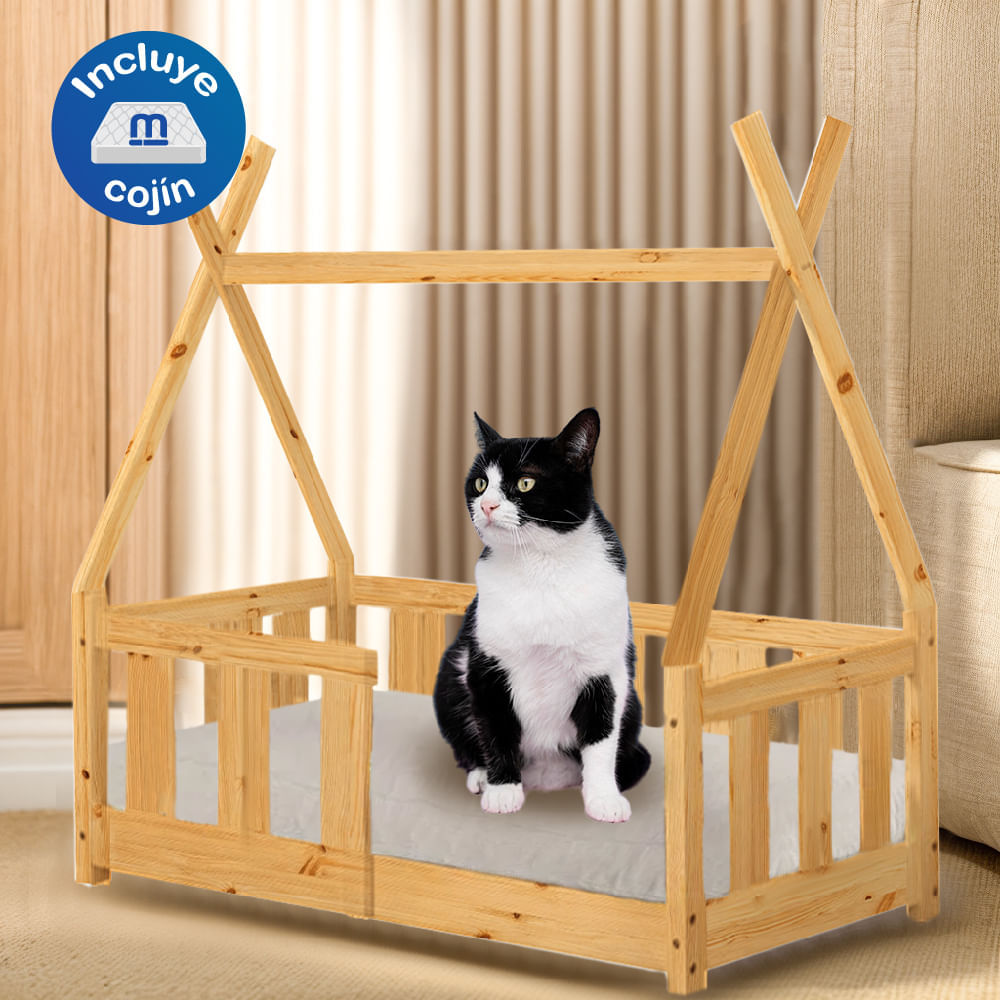 image-860bd69c06ee4f189a6ad882c8d850a7 image-860bd69c06ee4f189a6ad882c8d850a7