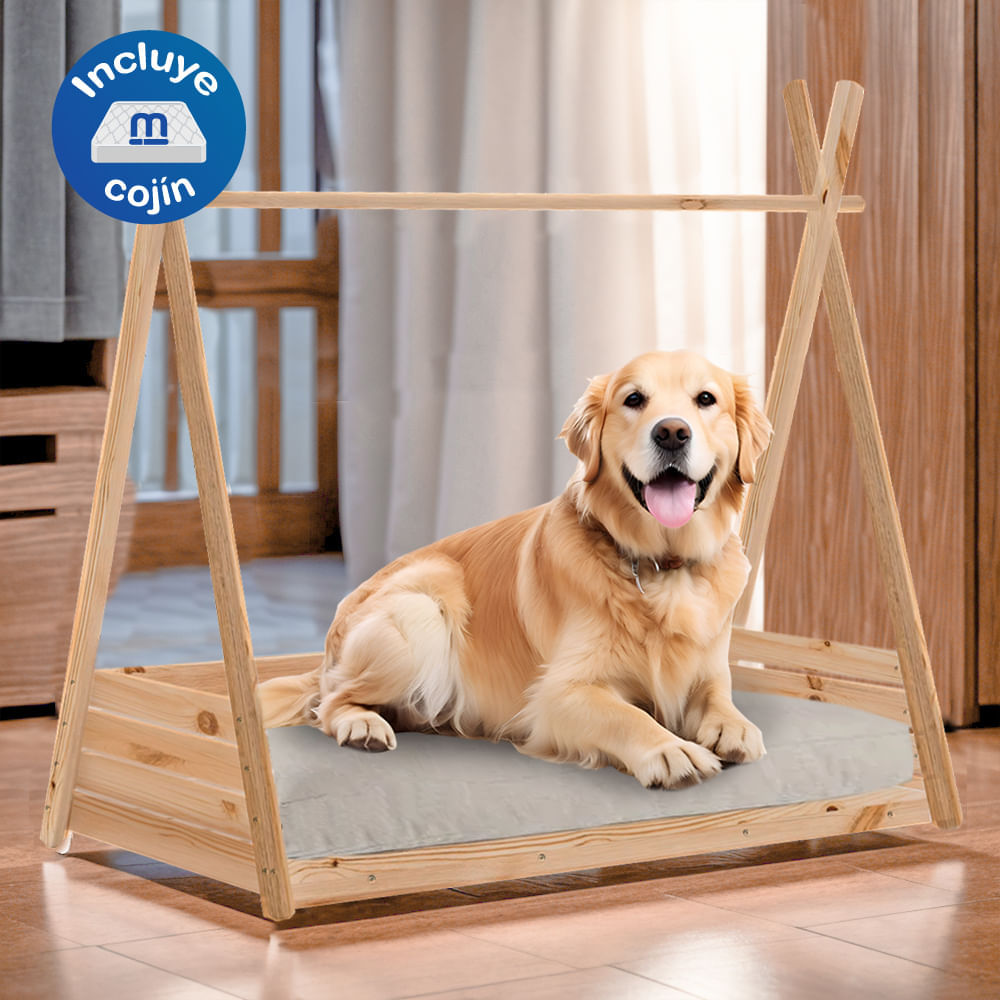 image-8d70530870b04797ac934be15f09e667 image-8d70530870b04797ac934be15f09e667