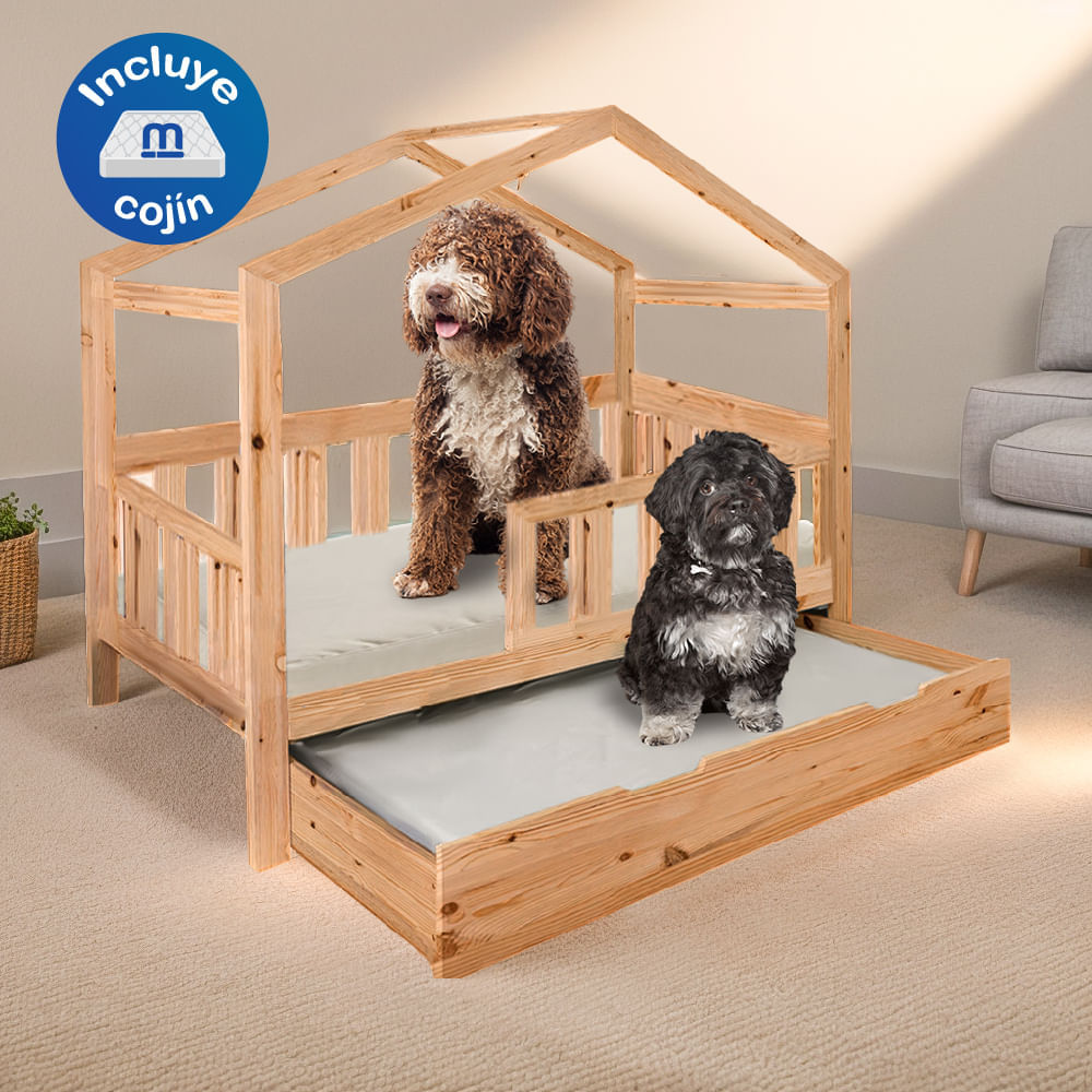 image-65fe0042507c4ddd8e29c1ce38b2b1b7 image-65fe0042507c4ddd8e29c1ce38b2b1b7