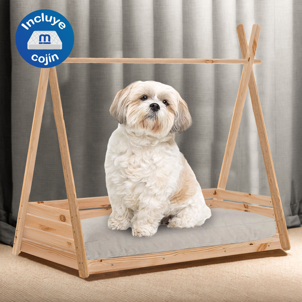 image-551cac917aa04df4b17af6e9c4ff7388 image-551cac917aa04df4b17af6e9c4ff7388