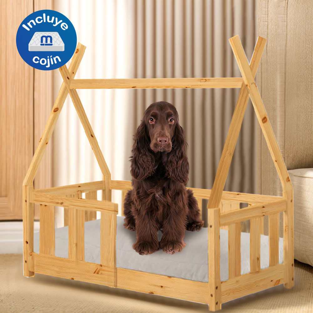 image-de4be844e1e848918969ce02513264db image-de4be844e1e848918969ce02513264db