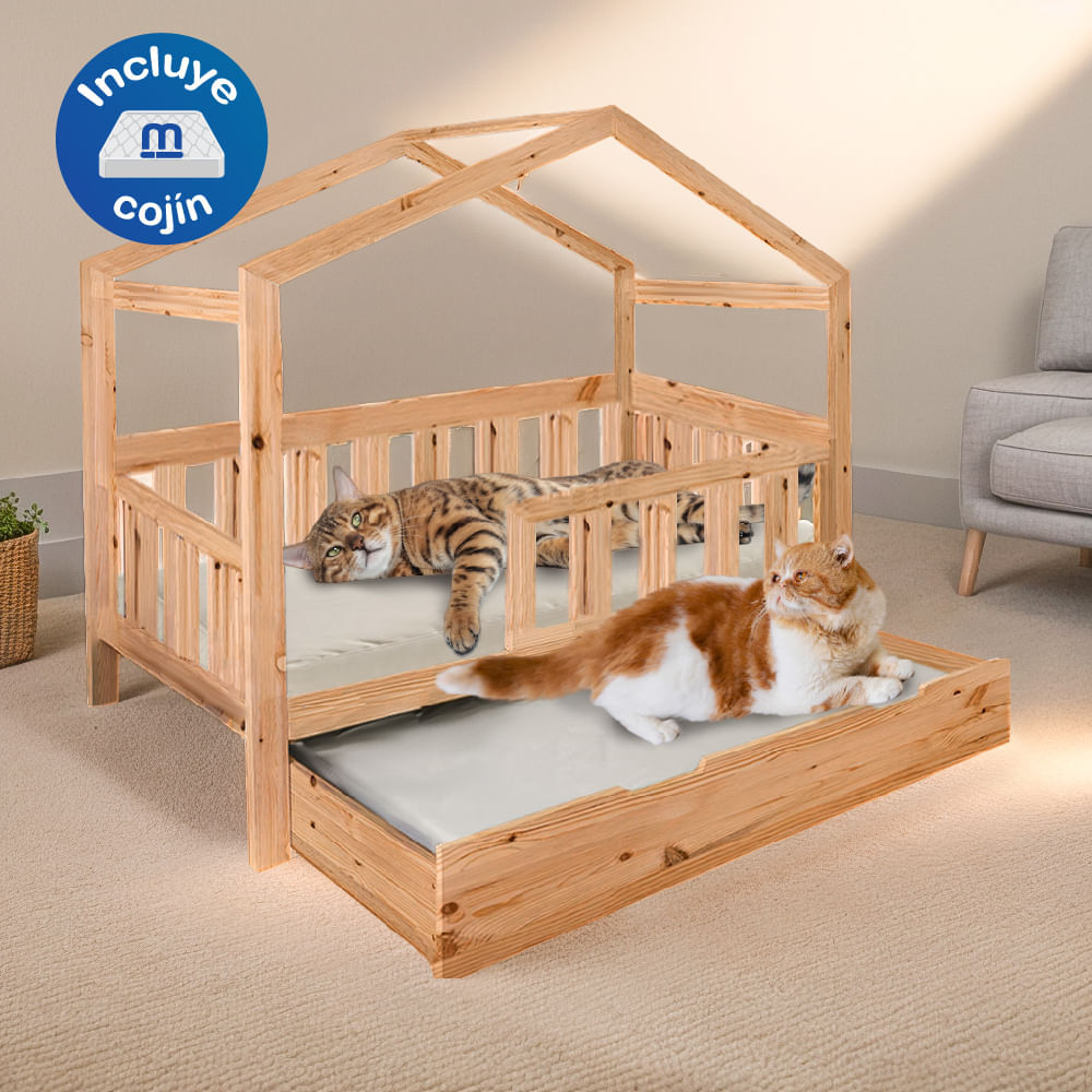 image-166d38057423443483d9ceea501715f8 image-166d38057423443483d9ceea501715f8