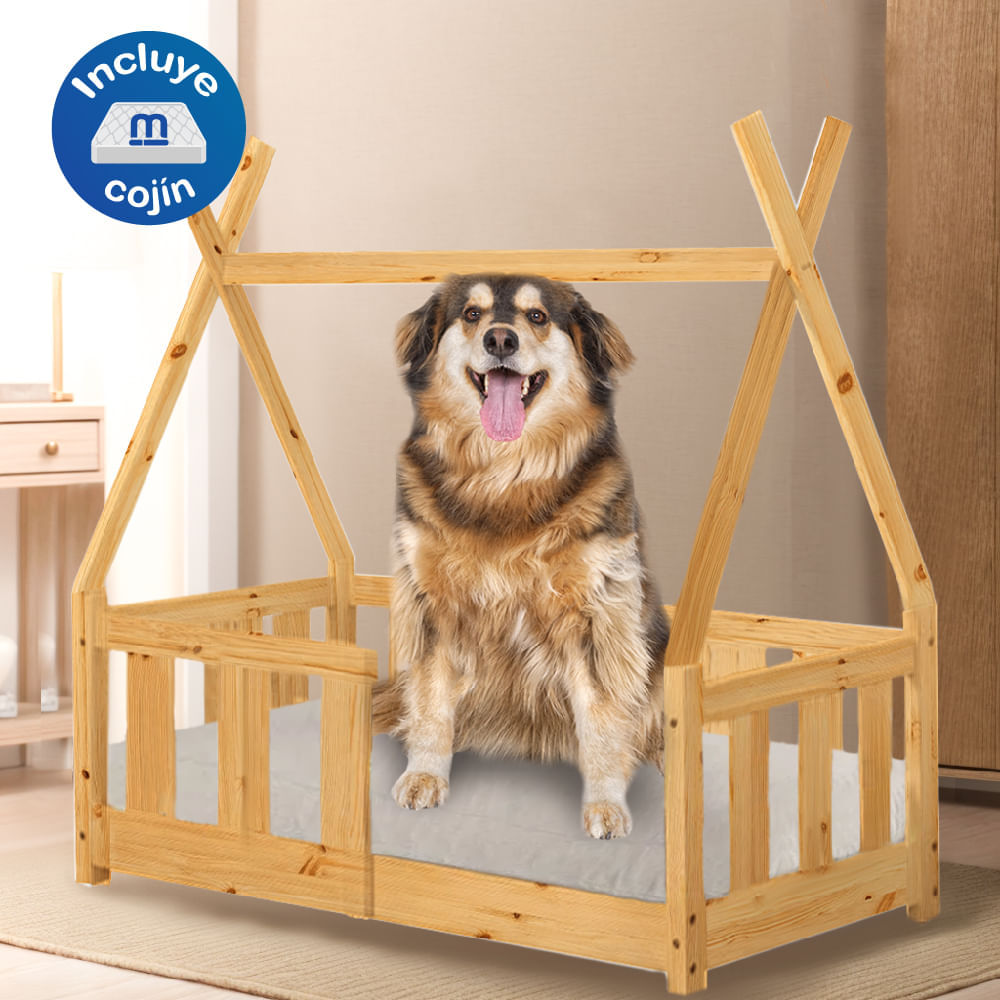 image-a0c1ee657bee49a18ffd312715f45506 image-a0c1ee657bee49a18ffd312715f45506