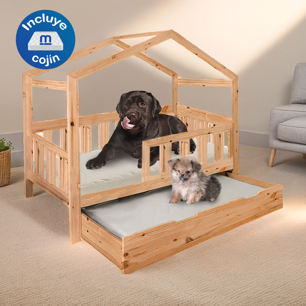 image-a310759105724a0ba3d3ffdcf4afd4a4 image-a310759105724a0ba3d3ffdcf4afd4a4