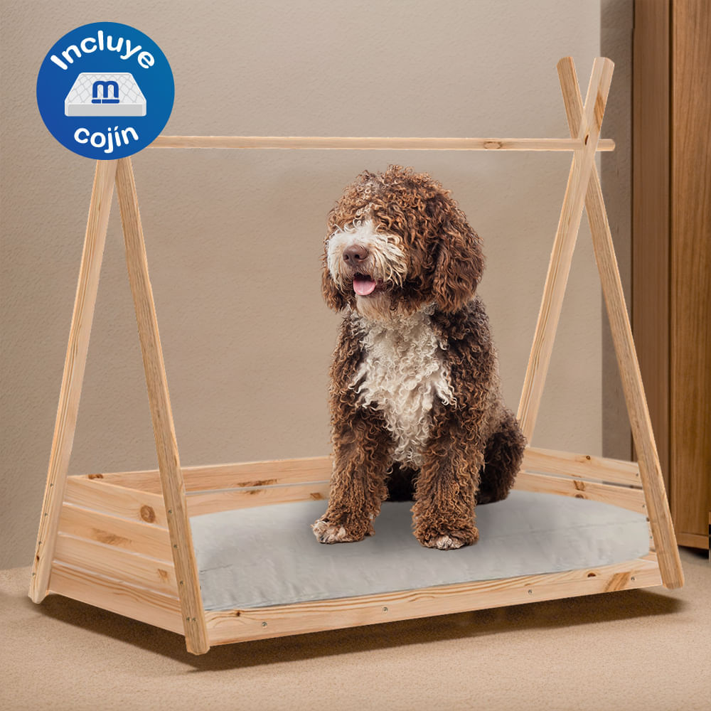 image-48028334172e493798265ce70a5a8839 image-48028334172e493798265ce70a5a8839