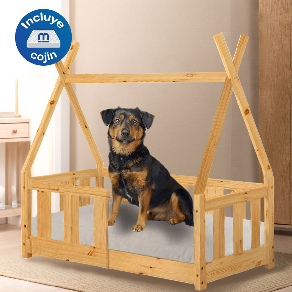 image-efef1fc222d8446782f412e453545898 image-efef1fc222d8446782f412e453545898