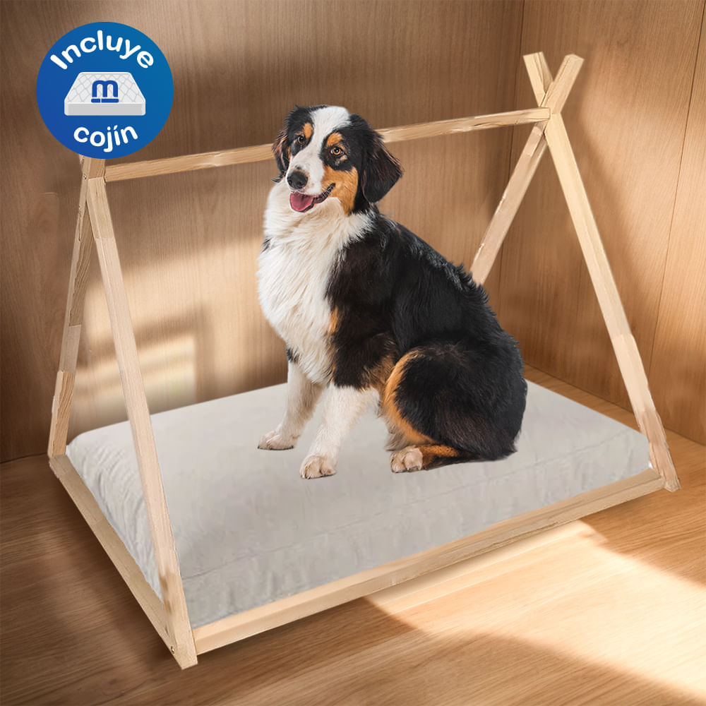 image-b572bf31295246bd8d485e9ac52be03f image-b572bf31295246bd8d485e9ac52be03f