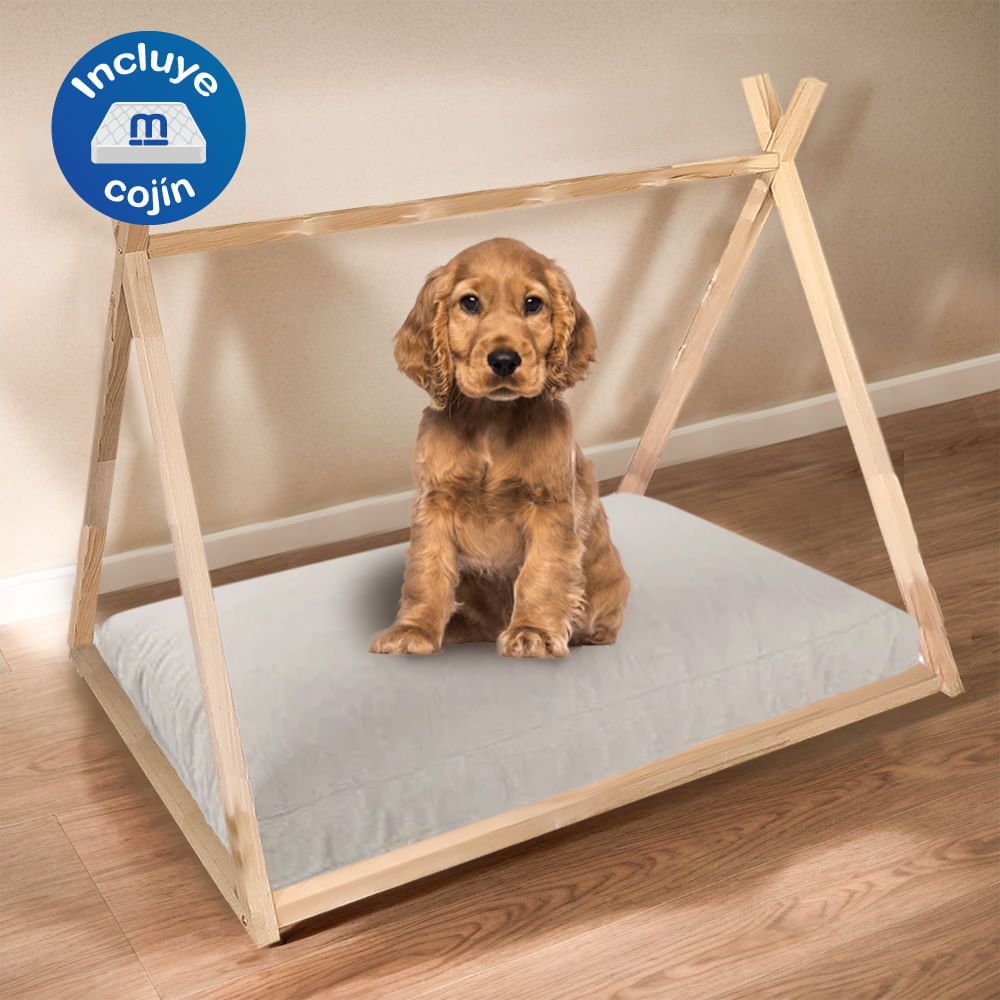 image-5f7c2662b6cd4c25a56004c7ce62c75e image-5f7c2662b6cd4c25a56004c7ce62c75e