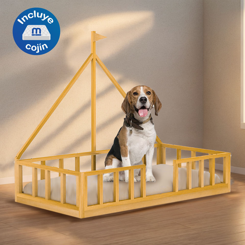 image-2f625c26604d4be3a9d2bf7c2fceda71 image-2f625c26604d4be3a9d2bf7c2fceda71