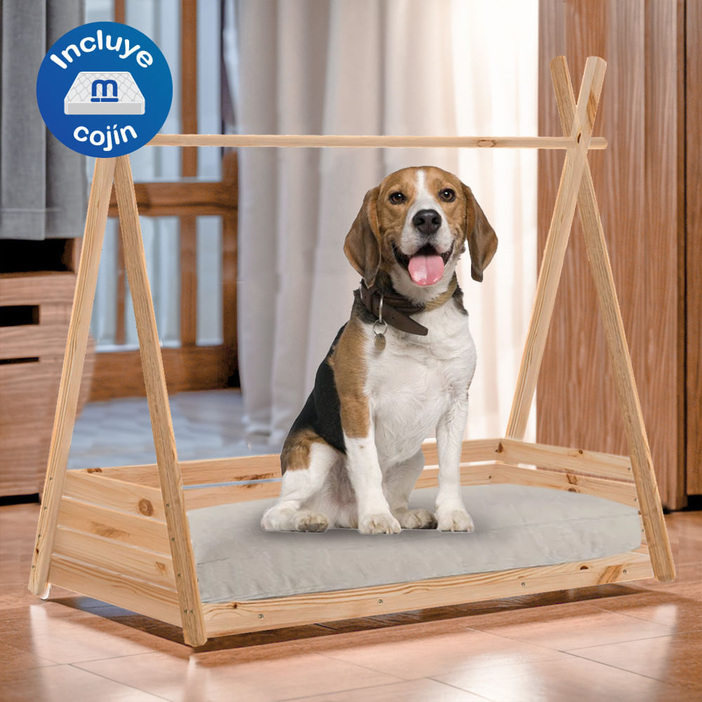 image-343ee4c5ef4649368eb86ce2327a910d image-343ee4c5ef4649368eb86ce2327a910d