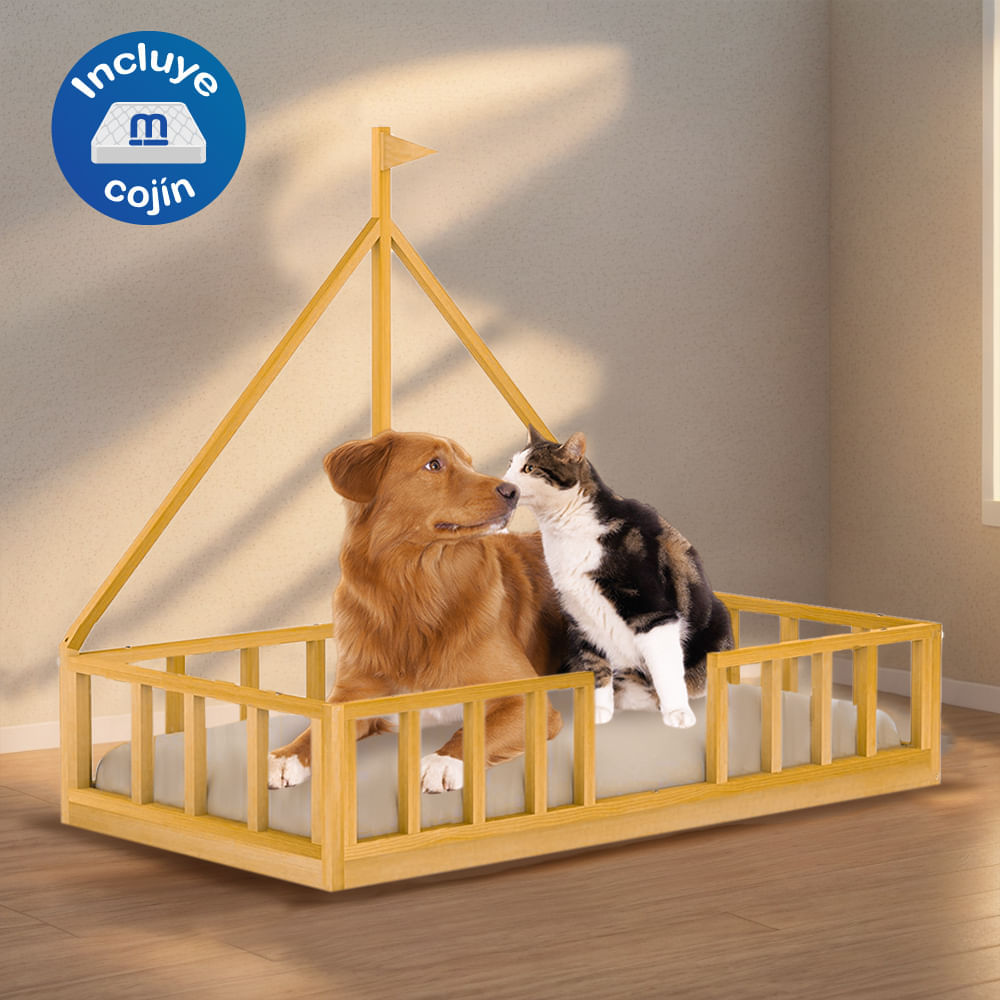 image-a888a7b6de75437eb6c00304829f6233 image-a888a7b6de75437eb6c00304829f6233