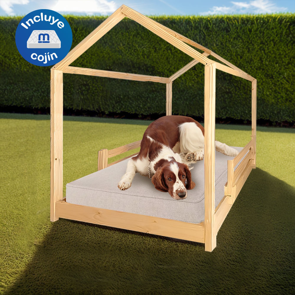 image-77874ed2980d475d90f8984f0b683c2d image-77874ed2980d475d90f8984f0b683c2d