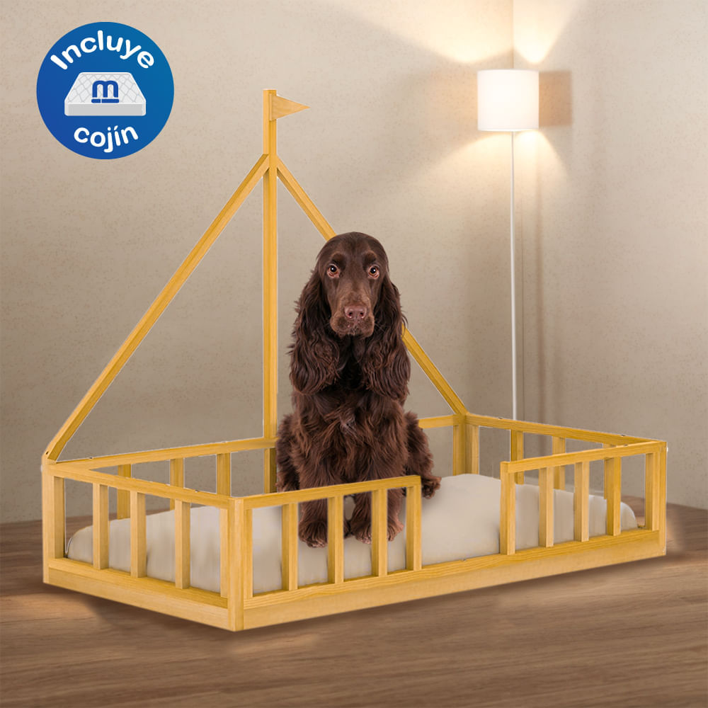 image-9eecf3a7d19147b4ae1cb4f30f6f3f3d image-9eecf3a7d19147b4ae1cb4f30f6f3f3d