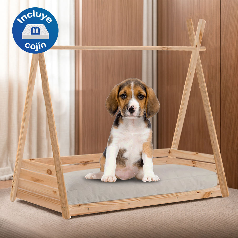 image-ab12dd9ef230447bb68c5e56a1f4feed image-ab12dd9ef230447bb68c5e56a1f4feed