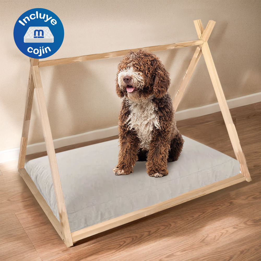 image-ddd1df459e1441cca1b7db92212f0c1a image-ddd1df459e1441cca1b7db92212f0c1a