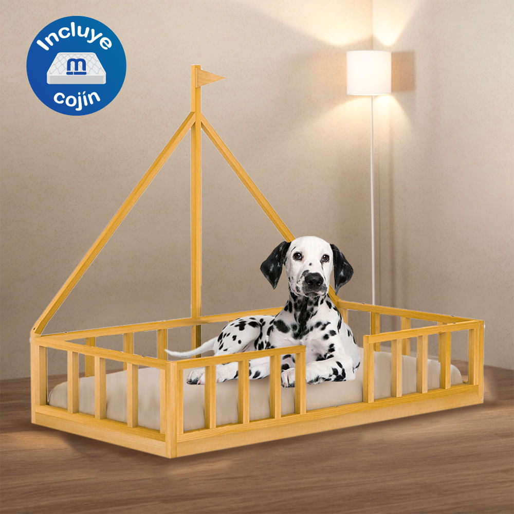 image-a4ddfd972bf64b45bd7038a62f4f90ab image-a4ddfd972bf64b45bd7038a62f4f90ab