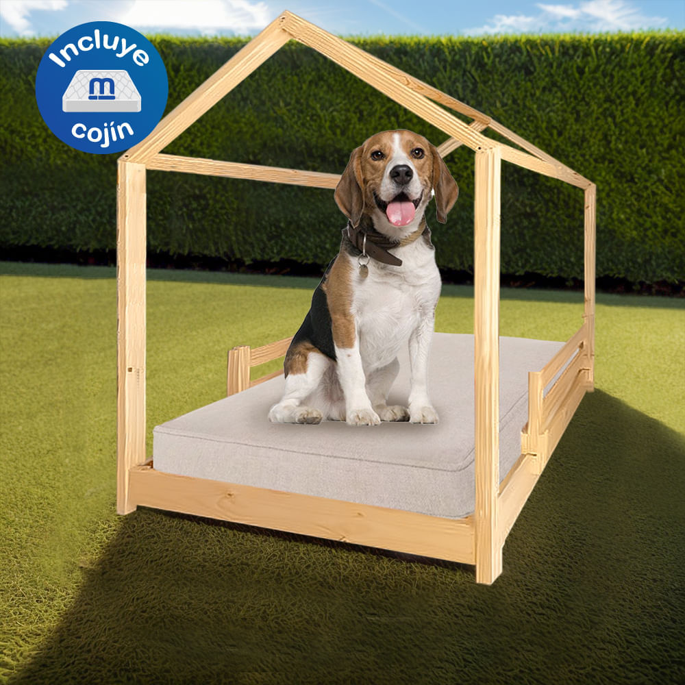 image-29c7e79f14d14c9685429268d2802450 image-29c7e79f14d14c9685429268d2802450