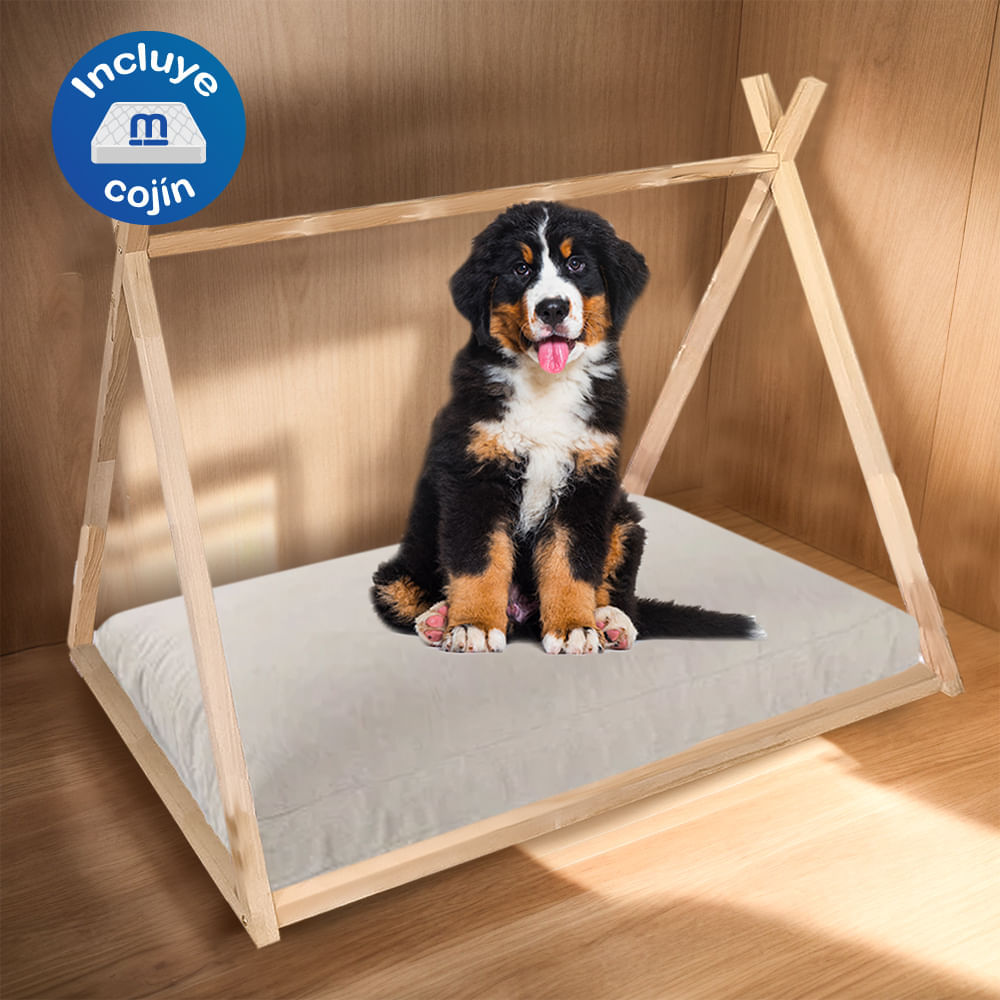 image-77b603b6f79e442e987f881798107041 image-77b603b6f79e442e987f881798107041