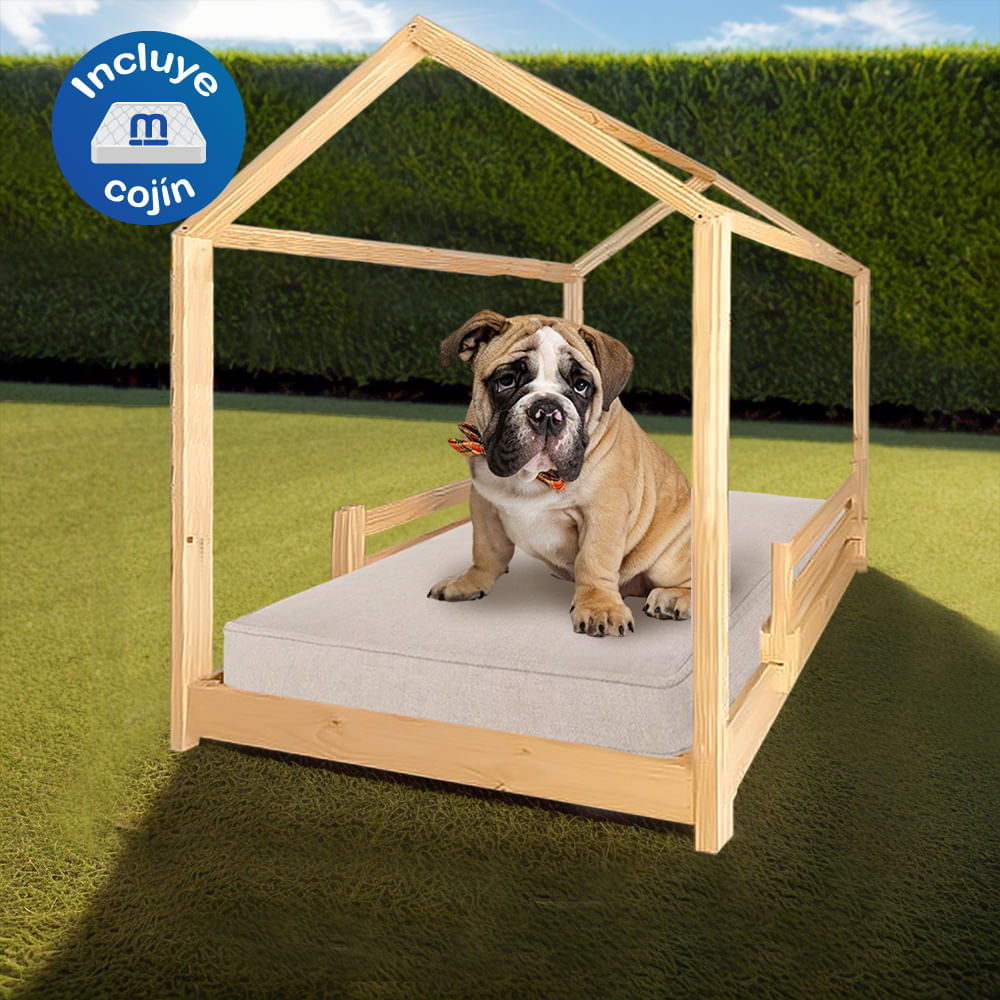 image-26f23efa52694f099f0ffc1a504a6308 image-26f23efa52694f099f0ffc1a504a6308