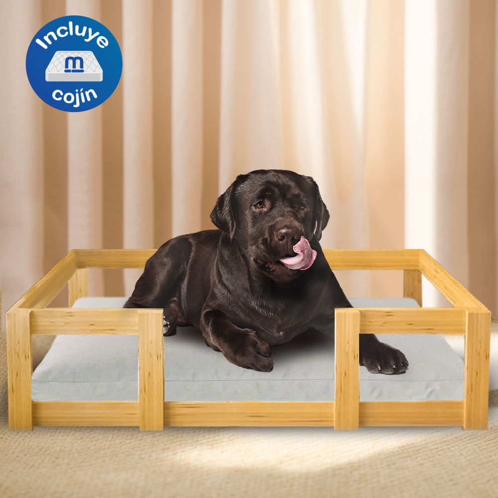 image-68976fef3adc4f3daa0bcc2bd352d2cf image-68976fef3adc4f3daa0bcc2bd352d2cf