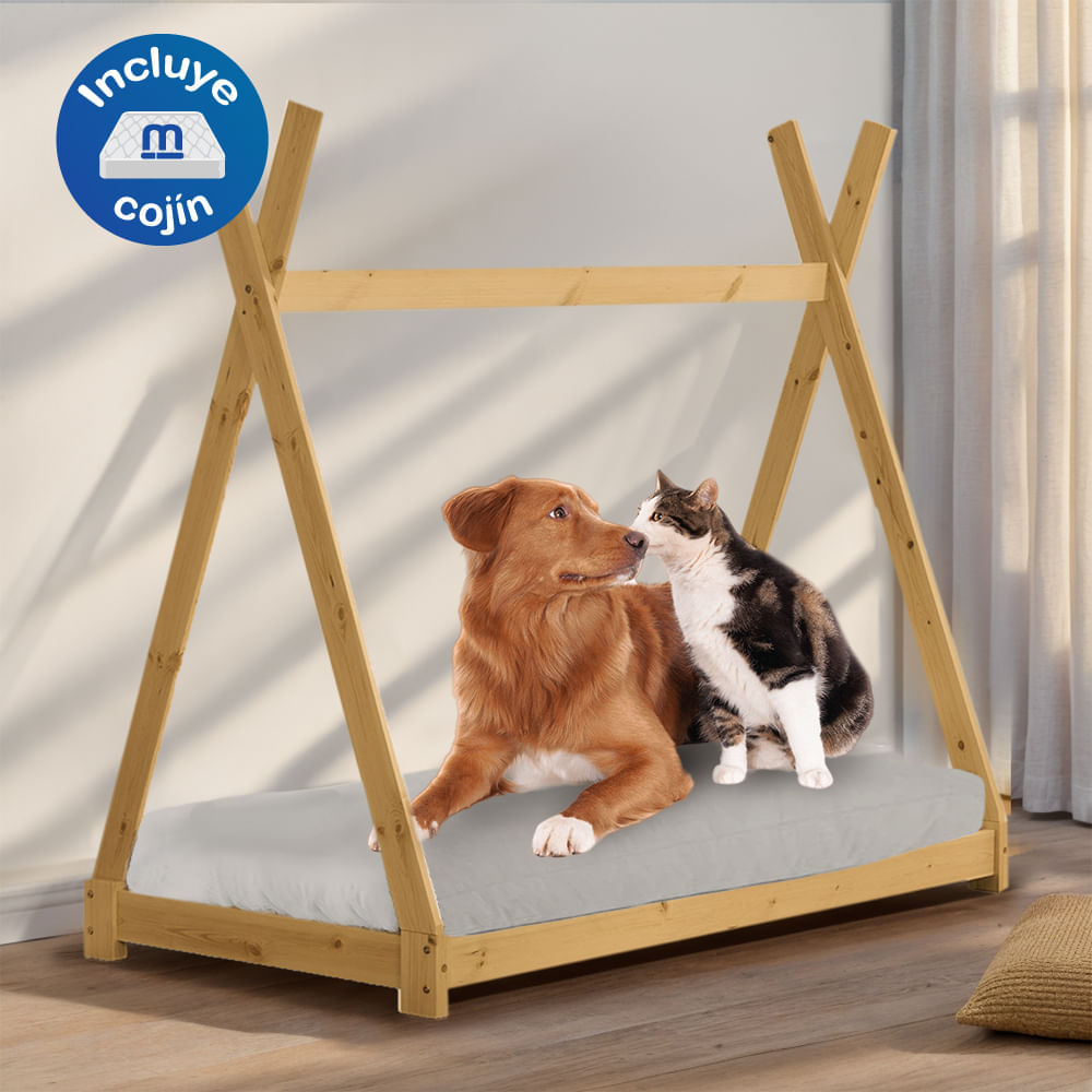 image-71f8a2792f1f4e38a3c454edf773bf79 image-71f8a2792f1f4e38a3c454edf773bf79