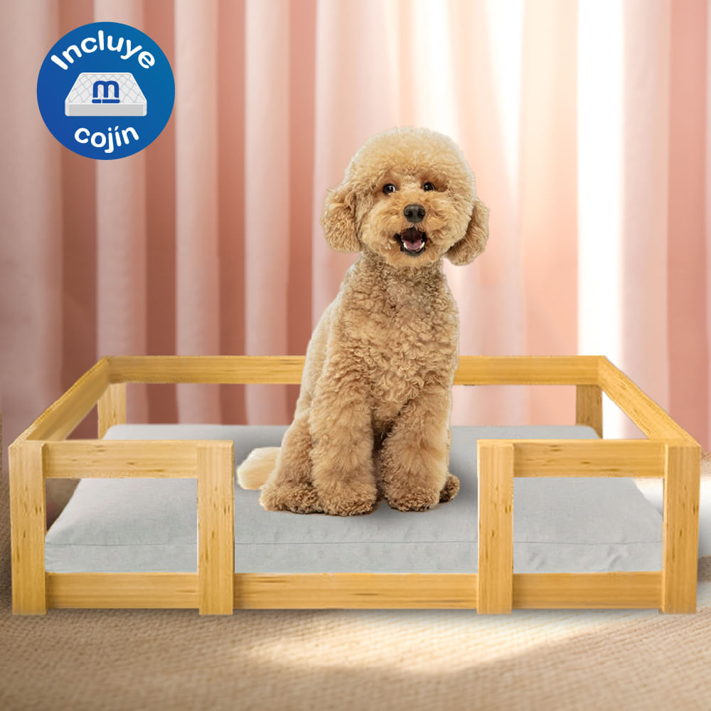 image-08b82e604f364df691ffc3a7ef119ccb image-08b82e604f364df691ffc3a7ef119ccb