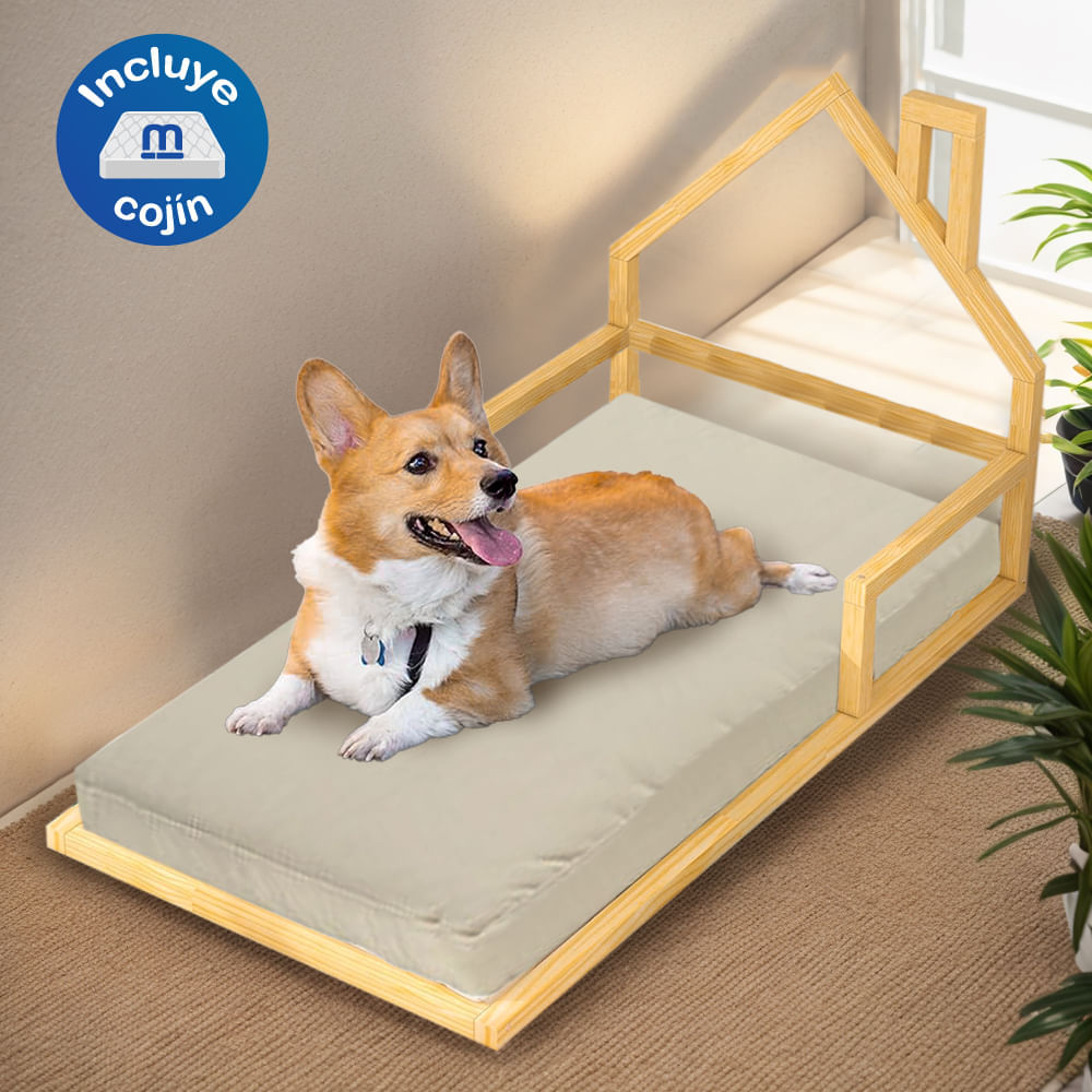 image-2f1c83ce2b0b4e3eb08392e92d40af6e image-2f1c83ce2b0b4e3eb08392e92d40af6e