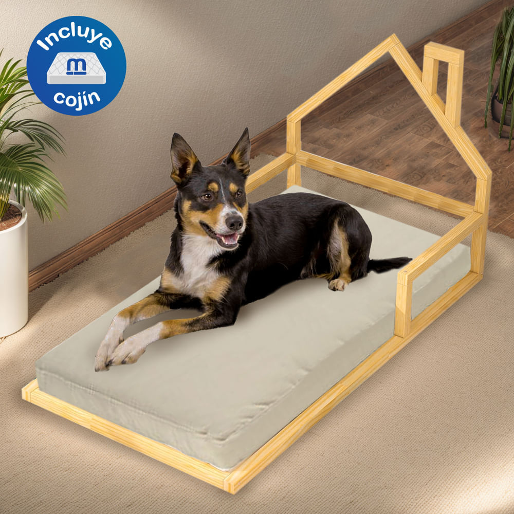 image-91cae82f04f54a23beae0ae1ee87e106 image-91cae82f04f54a23beae0ae1ee87e106