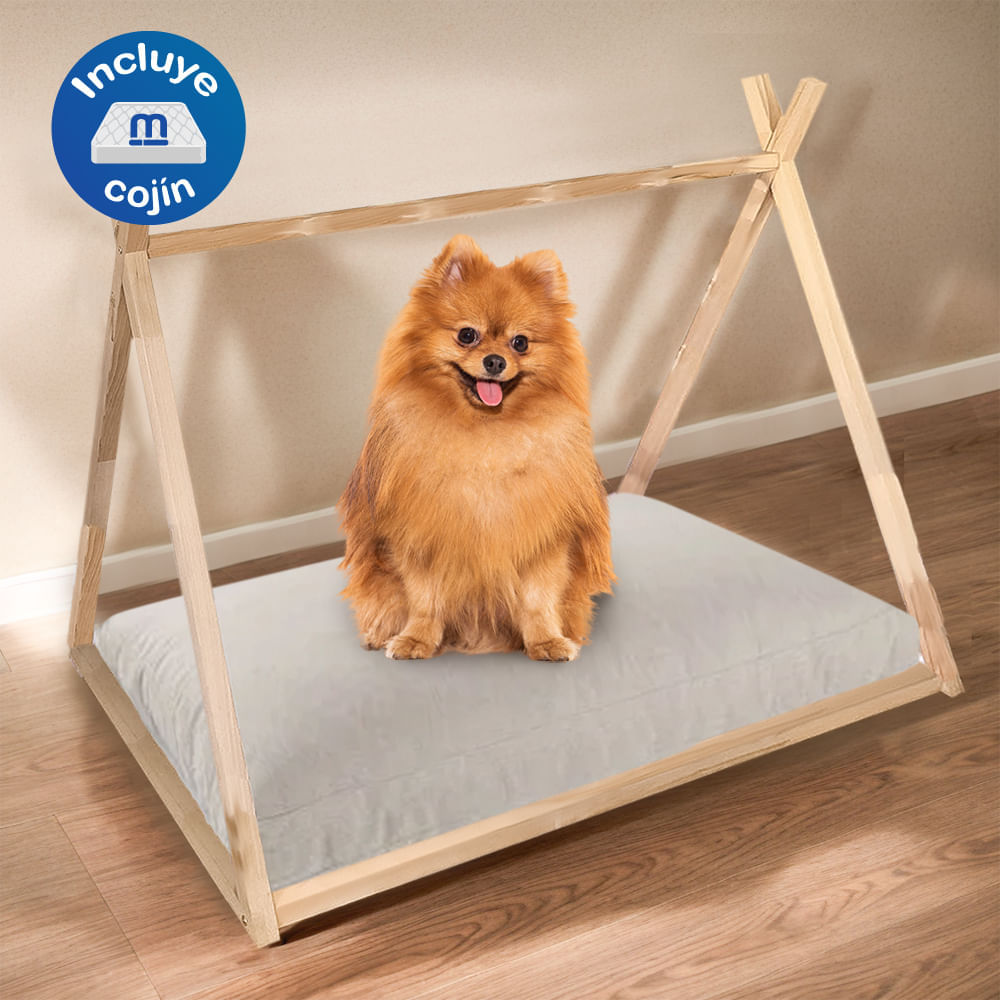 image-615438624178452cb2f976bfb5219fcd image-615438624178452cb2f976bfb5219fcd