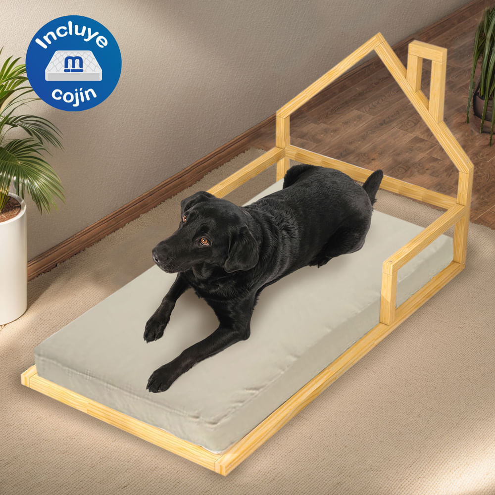 image-668e4ef883f84370a29147005cd52d0c image-668e4ef883f84370a29147005cd52d0c