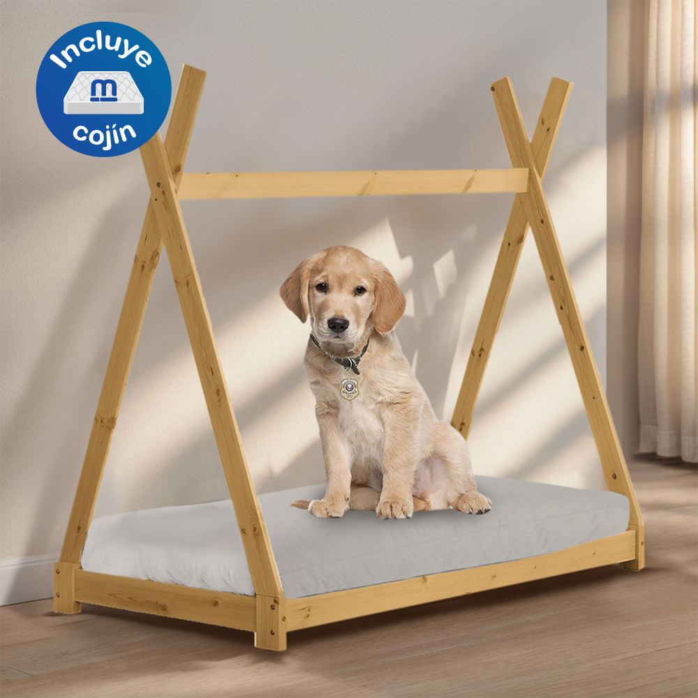 image-7e6eac17dca24abfba38f3d03d16fc9d image-7e6eac17dca24abfba38f3d03d16fc9d