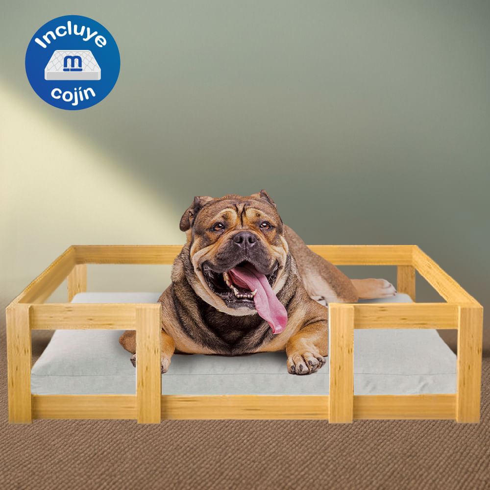 image-9068b3d211534a808d00c863c629d629 image-9068b3d211534a808d00c863c629d629