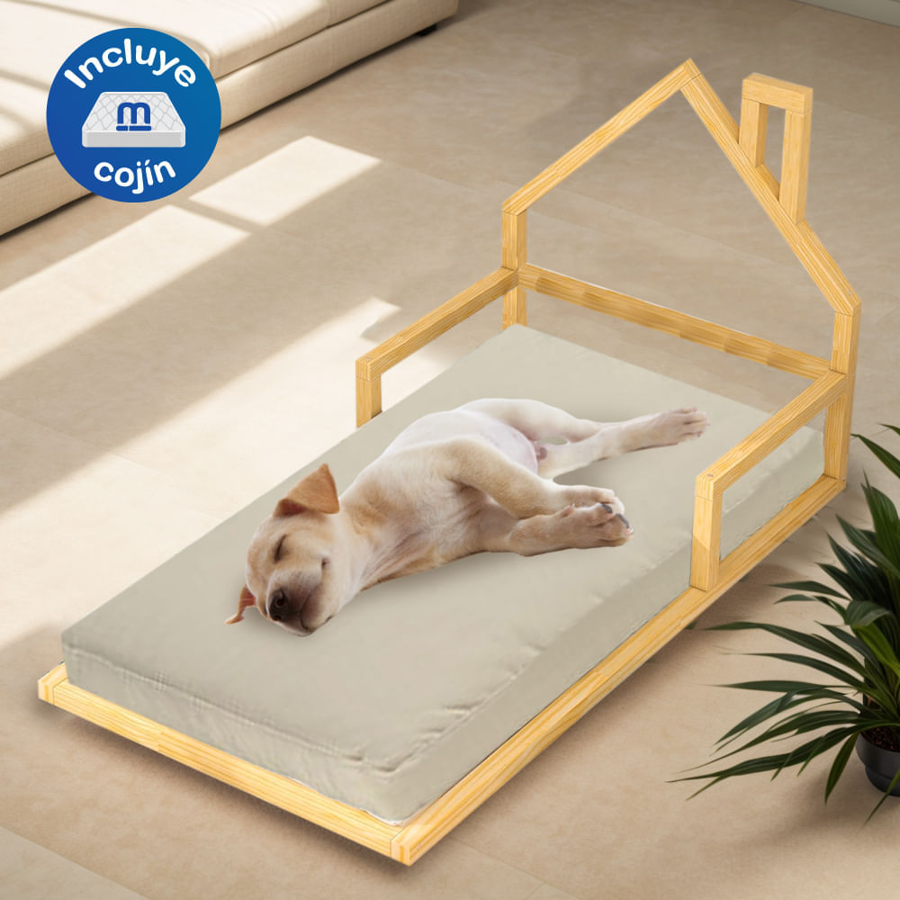 image-5faae6e805ca4f329c05bf57c8414025 image-5faae6e805ca4f329c05bf57c8414025