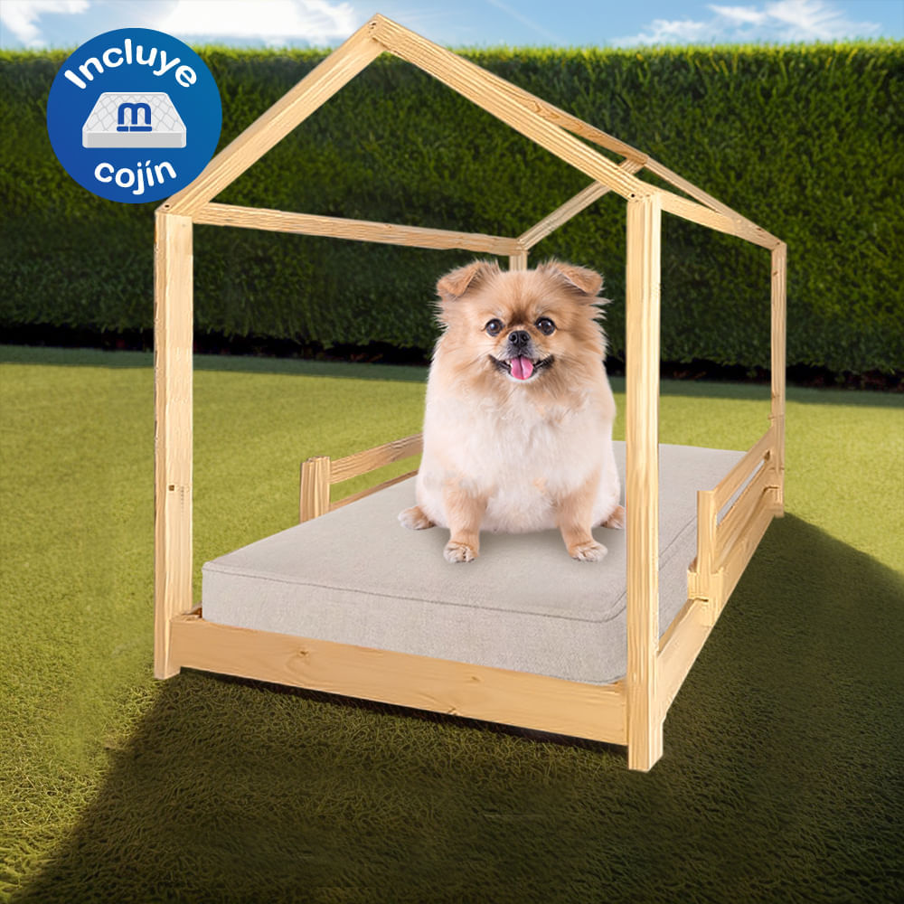 image-ed18631392f0427eb7b999fd13b24df8 image-ed18631392f0427eb7b999fd13b24df8