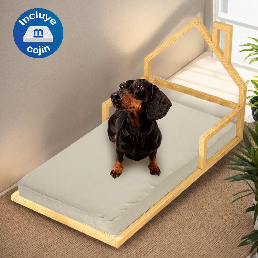 image-547147a14958487ab7bd5fe9487815ac image-547147a14958487ab7bd5fe9487815ac