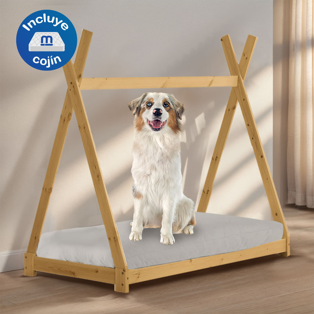 image-0c50a1dfccb24080a14568b9dabe60ce image-0c50a1dfccb24080a14568b9dabe60ce