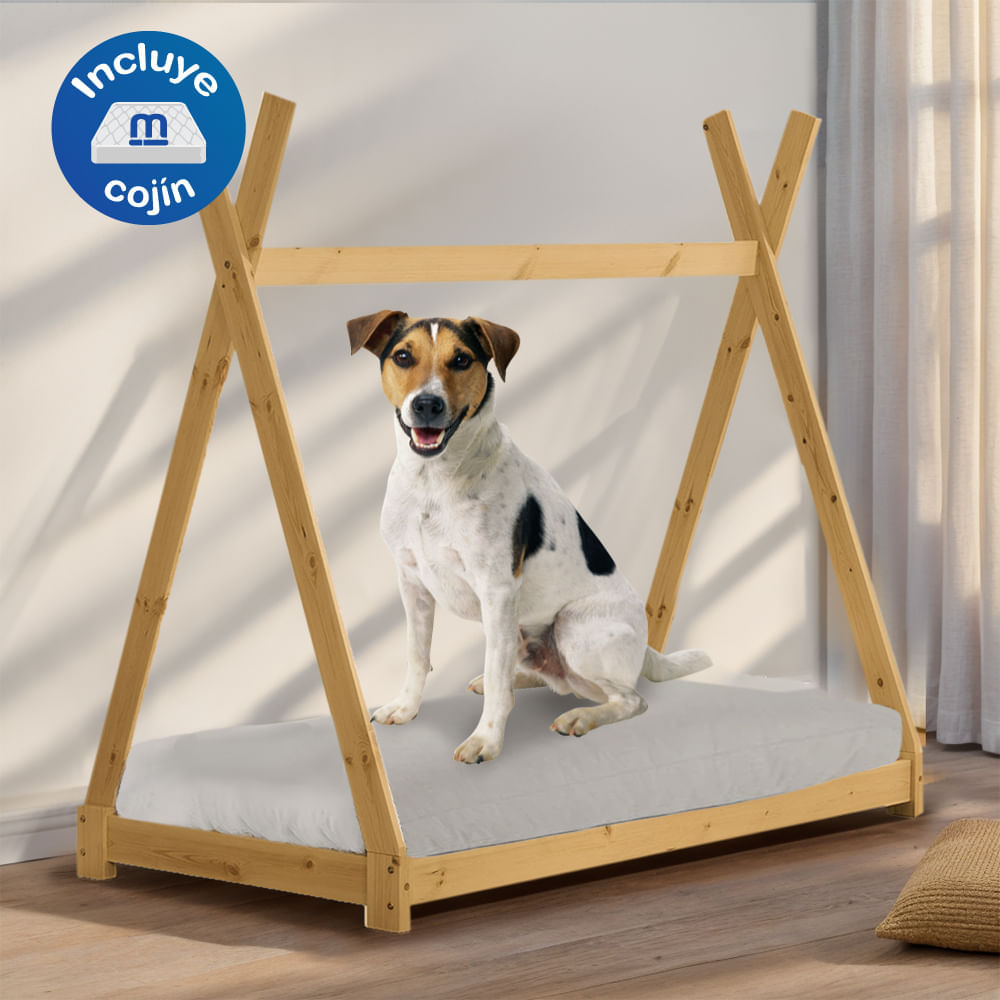 image-b8e585bd9e2d4440bb99928c79267298 image-b8e585bd9e2d4440bb99928c79267298