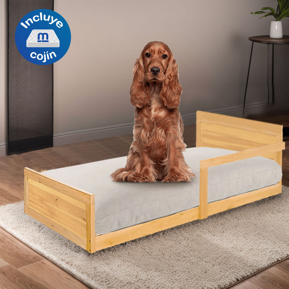 image-48c10f17e55e49378ecb26522d3ea300 image-48c10f17e55e49378ecb26522d3ea300