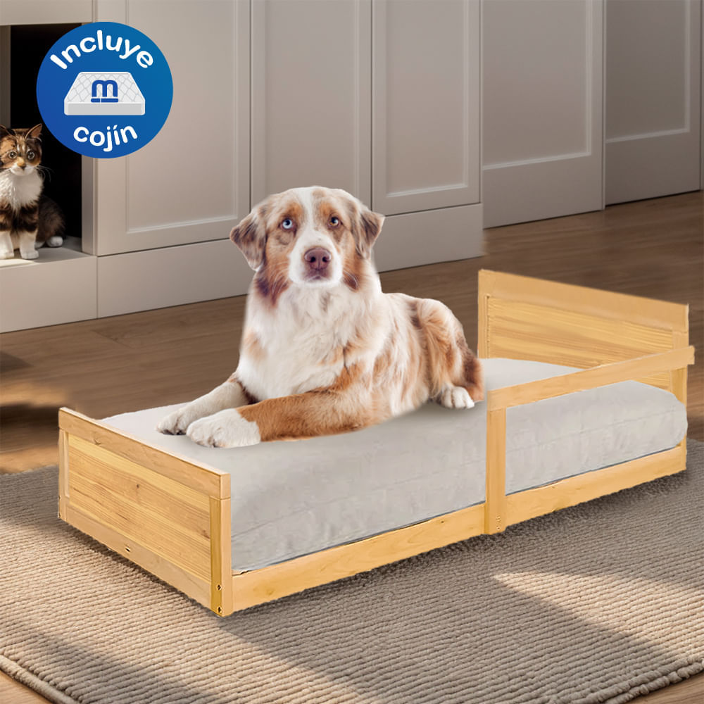 image-bdeb0ac2e060439698b44b0027b20f5a image-bdeb0ac2e060439698b44b0027b20f5a