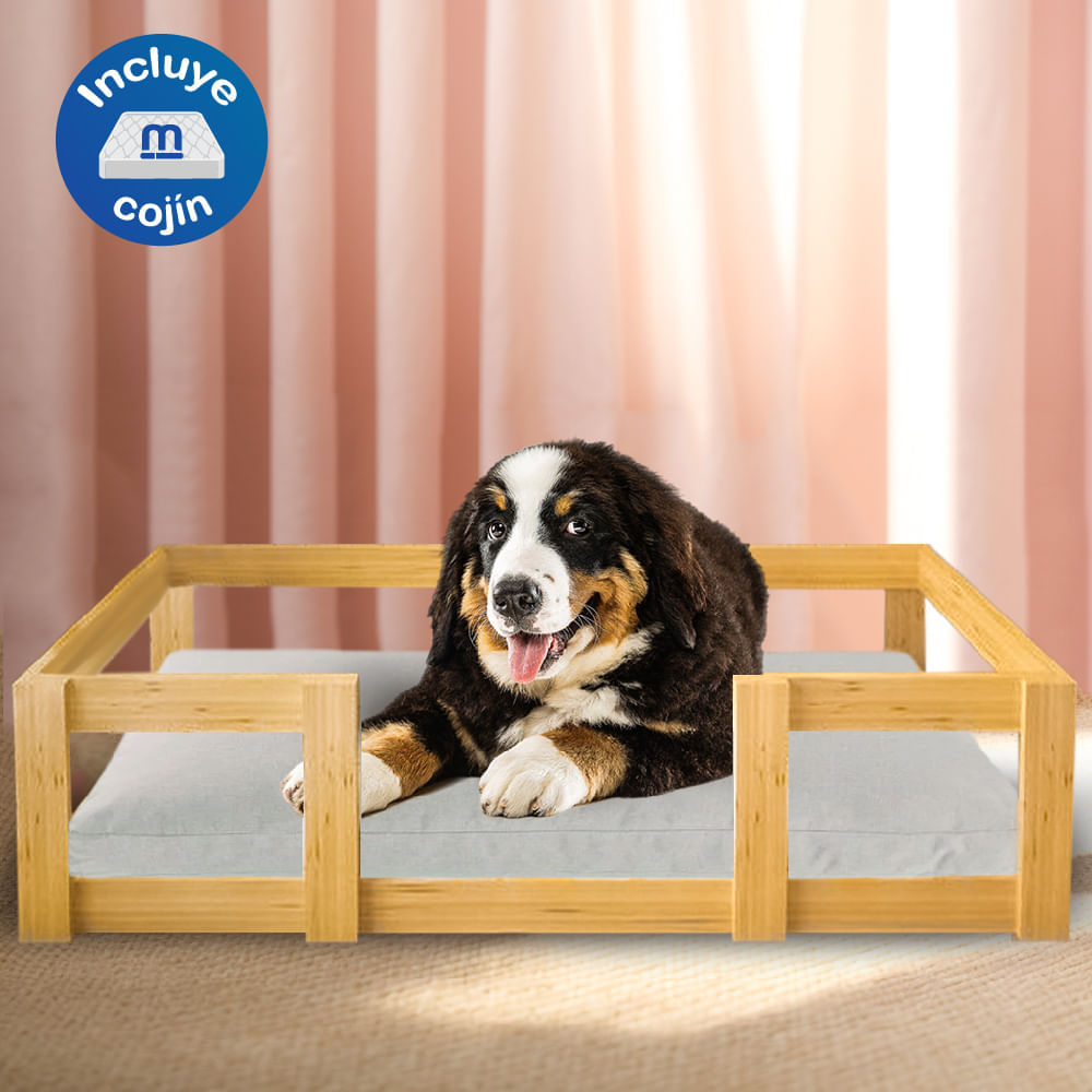 image-843b60016d3e46cda3d715b198a63f50 image-843b60016d3e46cda3d715b198a63f50