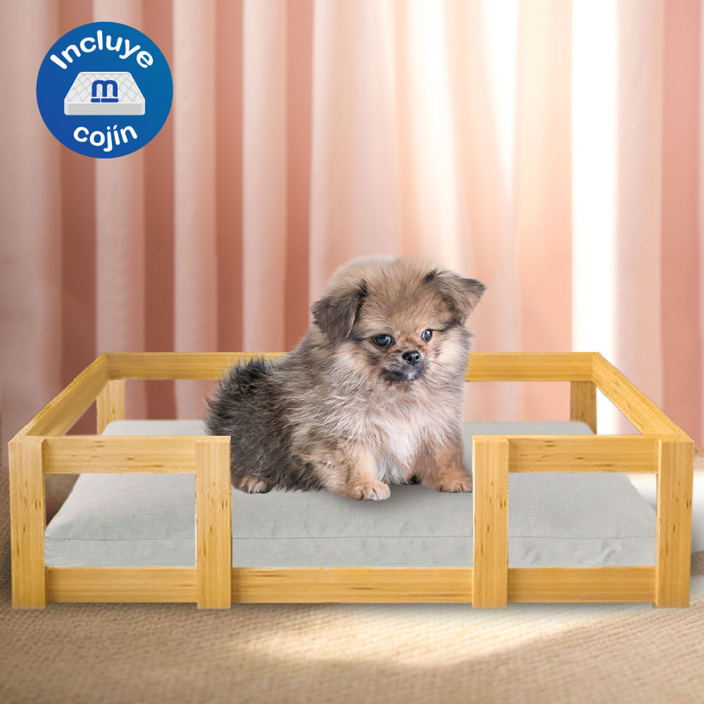 image-7889f22b6fd242c48939a50acab2d7b5 image-7889f22b6fd242c48939a50acab2d7b5