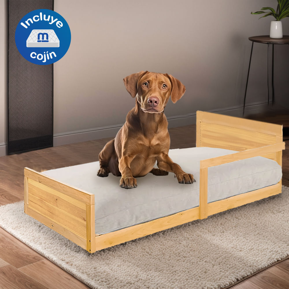 image-338f7a8e5c794b2eae278745de1cae87 image-338f7a8e5c794b2eae278745de1cae87