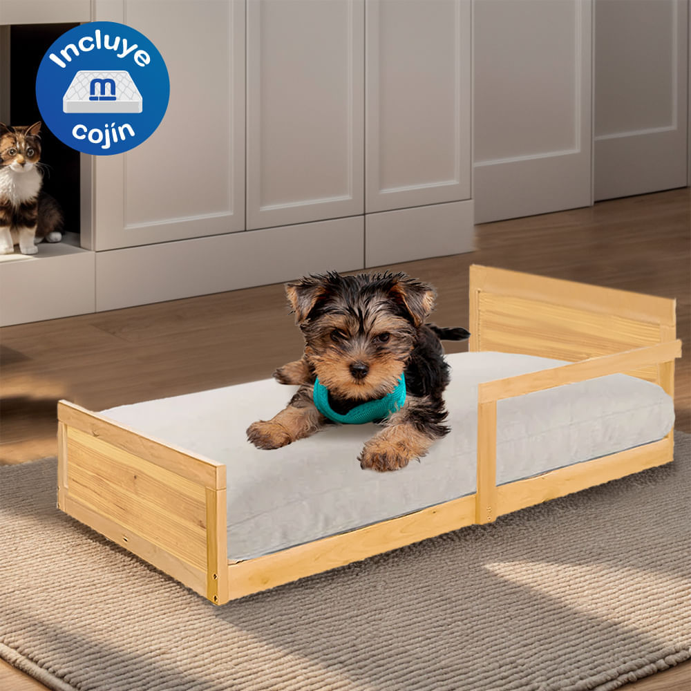 image-16bf232444d24b2eb6233b2b6d2011bf image-16bf232444d24b2eb6233b2b6d2011bf